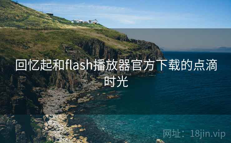 回忆起和flash播放器官方下载的点滴时光