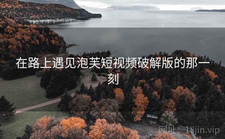 在路上遇见泡芙短视频破解版的那一刻