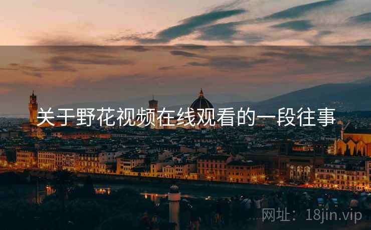 关于野花视频在线观看的一段往事