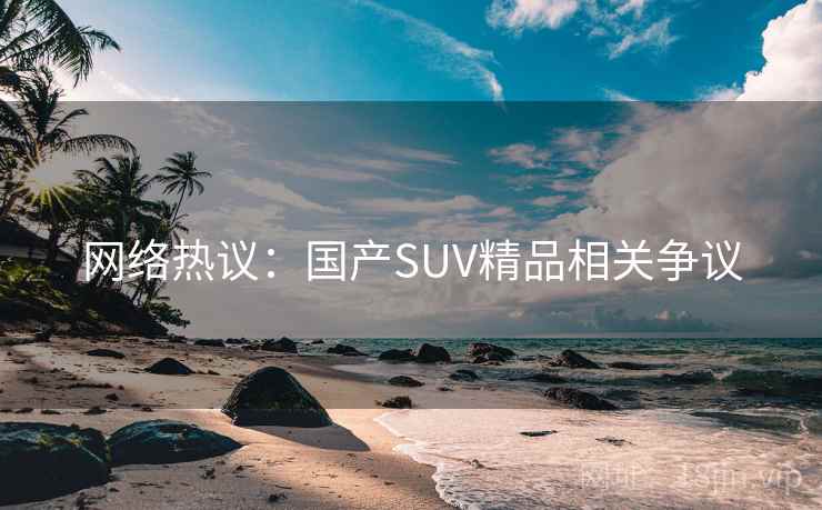 网络热议:国产SUV精品相关争议