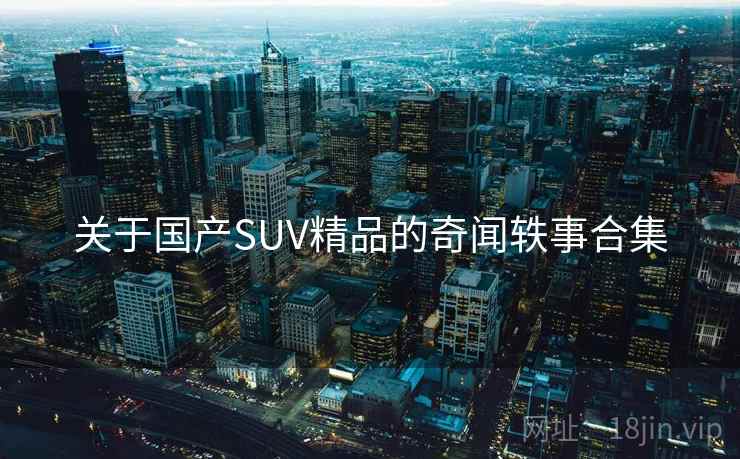 关于国产SUV精品的奇闻轶事合集