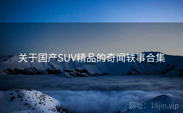 关于国产SUV精品的奇闻轶事合集
