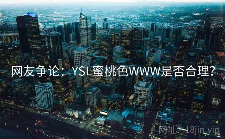 网友争论:YSL蜜桃色WWW是否合理?  第1张 网友争论:YSL蜜桃色WWW是否合理?  第1张